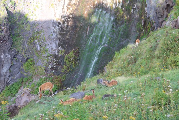 Furepe Waterfall Nature Walk