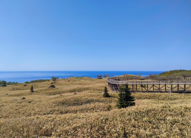Shiretoko Land and Sea Tours