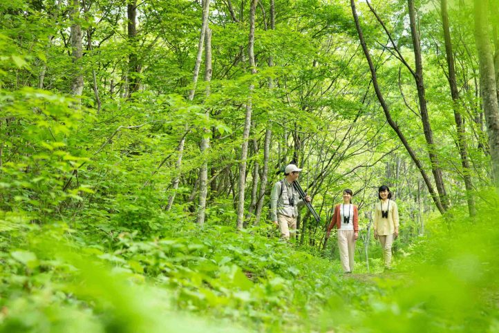 Private Tour with Native English Speaking Guide